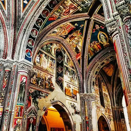 Vignola *